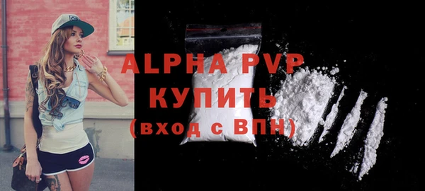 spice Новодвинск