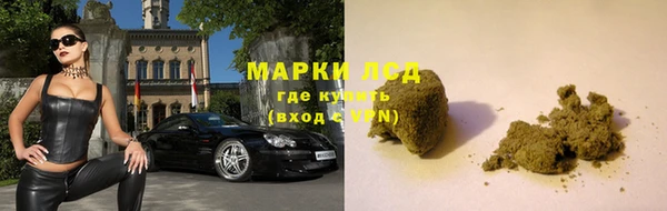 a pvp Новозыбков