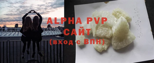 стаф Новокубанск