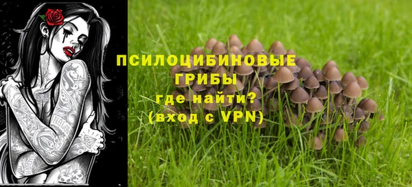 spice Новодвинск
