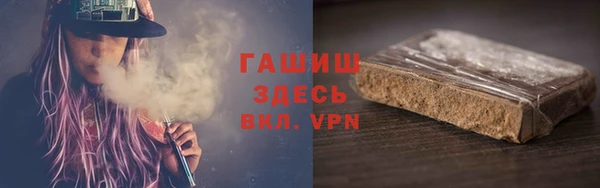 стаф Новокубанск