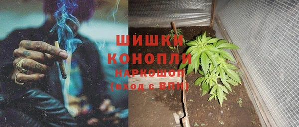 a pvp Новозыбков