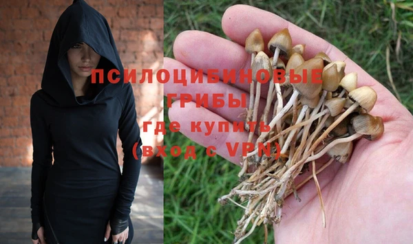 стаф Новокубанск
