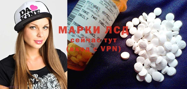 spice Новодвинск