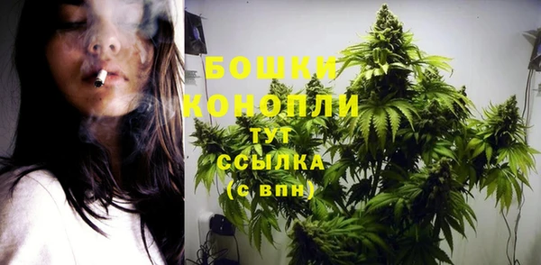 стаф Новокубанск