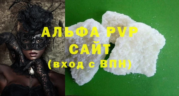 стаф Новокубанск