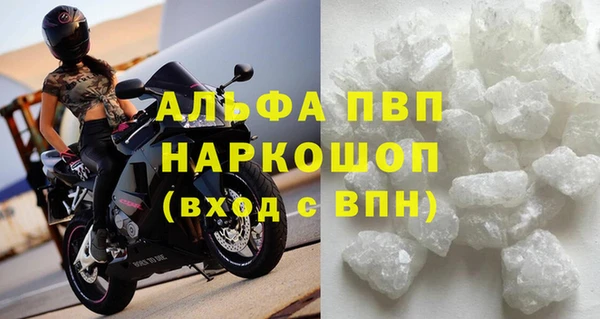 spice Новодвинск