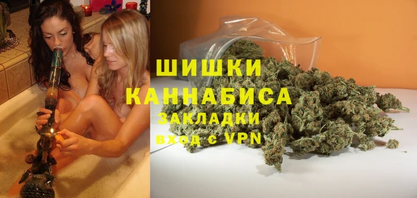 стаф Новокубанск