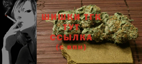 a pvp Новозыбков