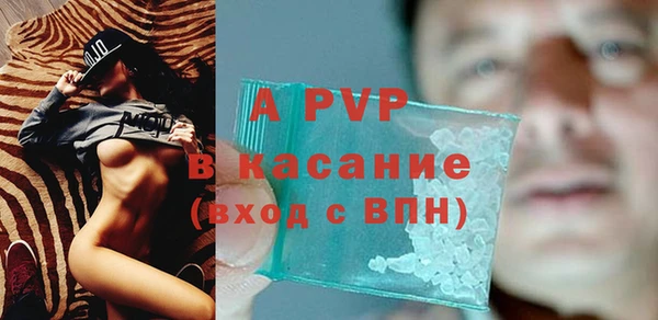 a pvp Новозыбков