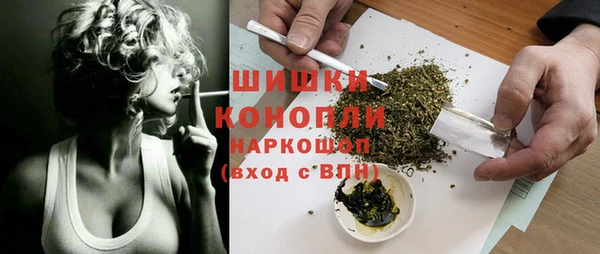 a pvp Новозыбков