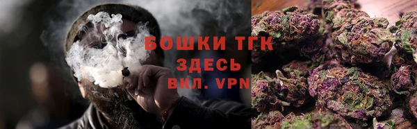 стаф Новокубанск