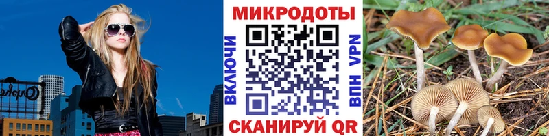 Псилоцибиновые грибы Magic Shrooms  дарнет шоп  hydra маркетплейс  Краснознаменск 