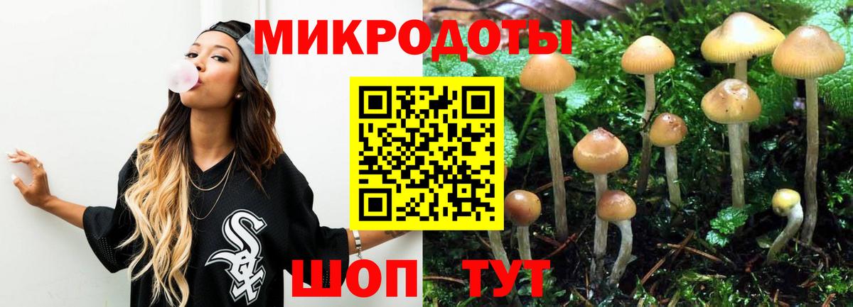 Краснознаменск  Псилоцибиновые грибы Psilocybine cubensis  где продают   Вход с VPN 