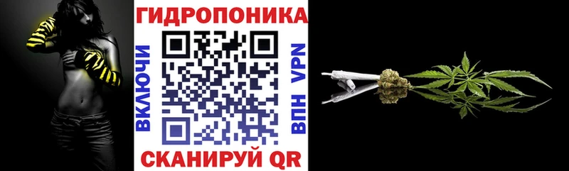 Конопля конопля цены Краснознаменск